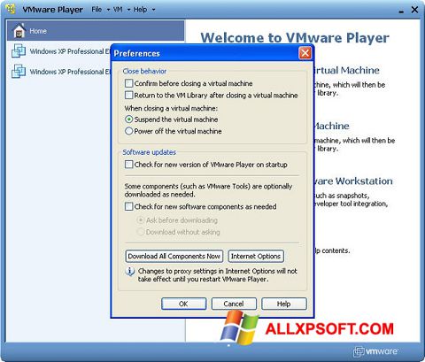 截图 VMware Player Windows XP