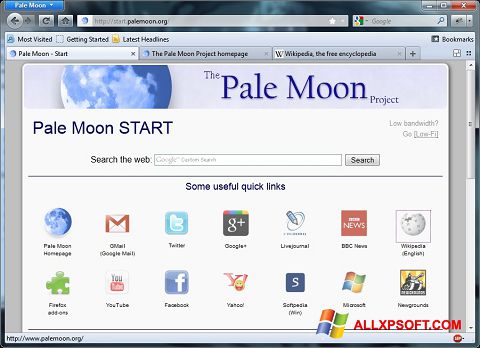 截图 Pale Moon Windows XP