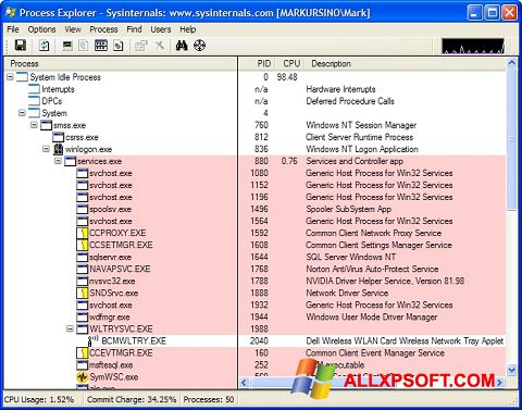 截图 Process Explorer Windows XP