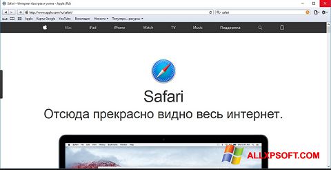 截图 Safari Windows XP